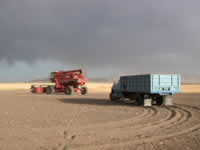 6:26pm  Garber Farms equipment in summer fallow.